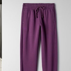 Aritzia cozy fleece boyfriend sweatpants